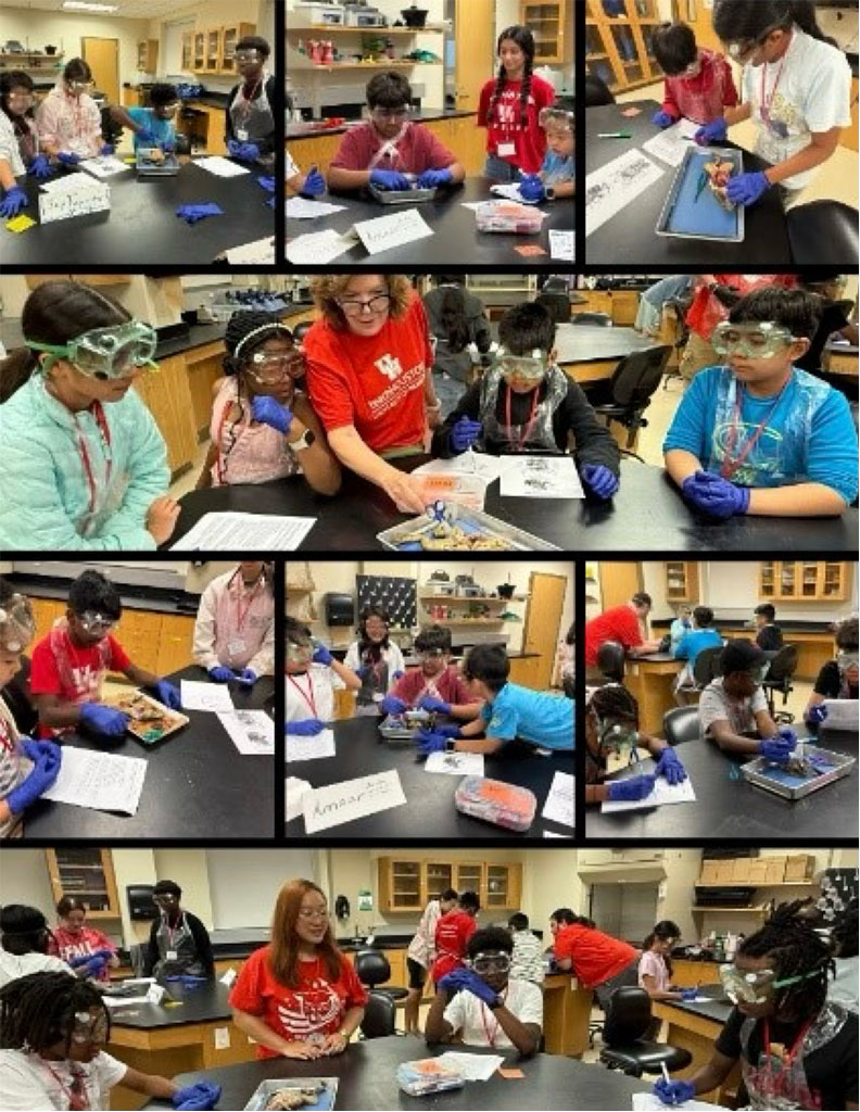 STEM Camps in June